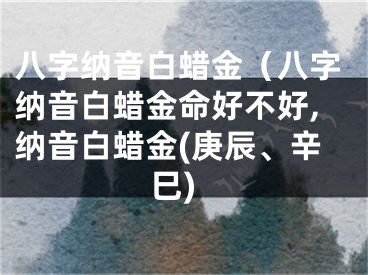 八字纳音白蜡金（八字纳音白蜡金命好不好,纳音白蜡金(庚辰、辛巳)