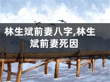 林生斌前妻八字,林生斌前妻死因