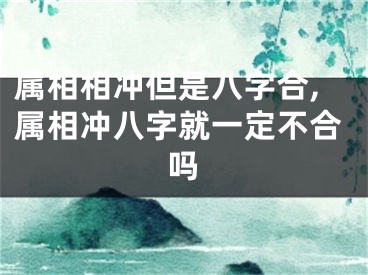 属相相冲但是八字合,属相冲八字就一定不合吗