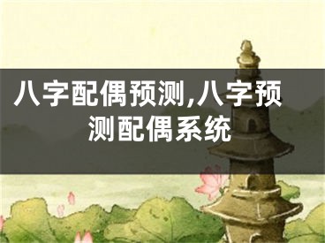 八字配偶预测,八字预测配偶系统
