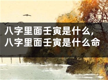 八字里面壬寅是什么,八字里面壬寅是什么命