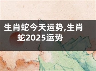 生肖蛇今天运势,生肖蛇2025运势