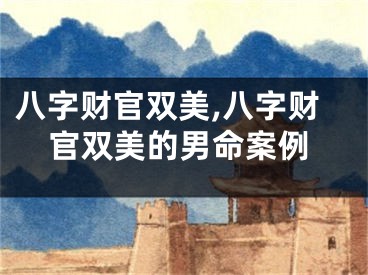 八字财官双美,八字财官双美的男命案例