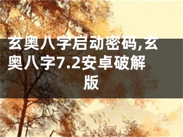 玄奥八字启动密码,玄奥八字7.2安卓破解版