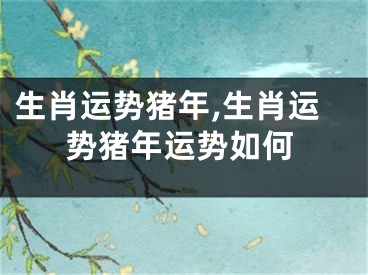 生肖运势猪年,生肖运势猪年运势如何