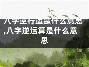 八字逆行运是什么意思,八字逆运算是什么意思
