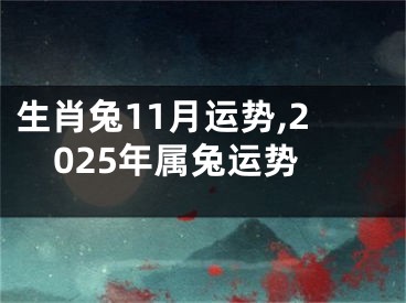 生肖兔11月运势,2025年属兔运势