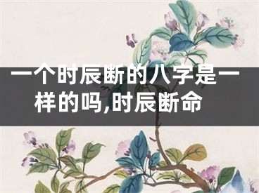 一个时辰断的八字是一样的吗,时辰断命