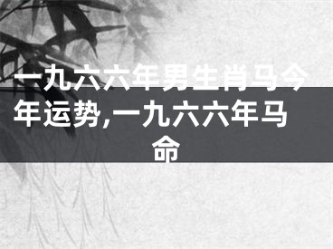 一九六六年男生肖马今年运势,一九六六年马命