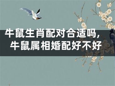 牛鼠生肖配对合适吗,牛鼠属相婚配好不好