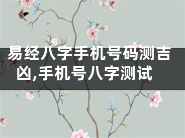 易经八字手机号码测吉凶,手机号八字测试