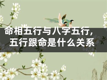 命相五行与八字五行,五行跟命是什么关系