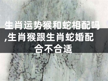 生肖运势猴和蛇相配吗,生肖猴跟生肖蛇婚配合不合适