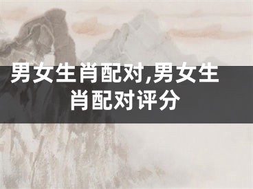 男女生肖配对,男女生肖配对评分