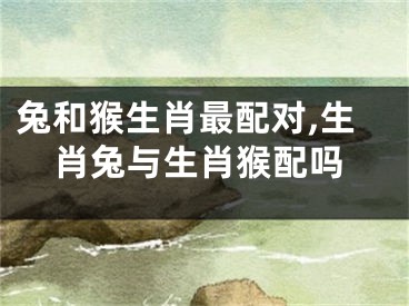 兔和猴生肖最配对,生肖兔与生肖猴配吗
