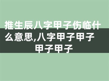 推生辰八字甲子伤临什么意思,八字甲子甲子甲子甲子