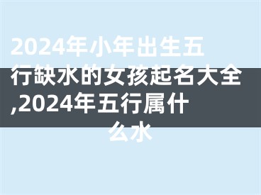 2024年小年出生五行缺水的女孩起名大全,2024年五行属什么水
