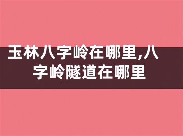 玉林八字岭在哪里,八字岭隧道在哪里