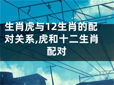 生肖虎与12生肖的配对关系,虎和十二生肖配对