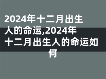 2024年十二月出生人的命运,2024年十二月出生人的命运如何