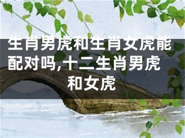 生肖男虎和生肖女虎能配对吗,十二生肖男虎和女虎