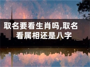 取名要看生肖吗,取名看属相还是八字