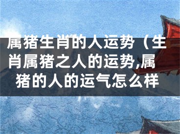 属猪生肖的人运势（生肖属猪之人的运势,属猪的人的运气怎么样