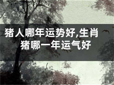 猪人哪年运势好,生肖猪哪一年运气好