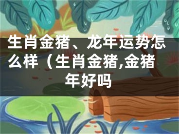 生肖金猪、龙年运势怎么样（生肖金猪,金猪年好吗