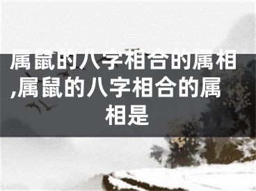 属鼠的八字相合的属相,属鼠的八字相合的属相是