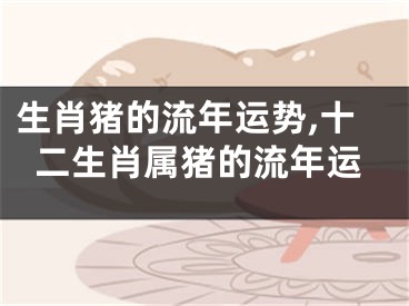 生肖猪的流年运势,十二生肖属猪的流年运