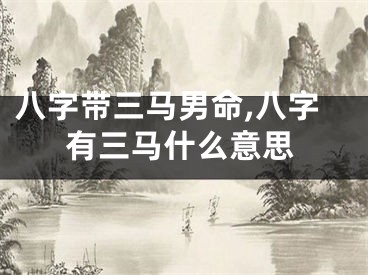 八字带三马男命,八字有三马什么意思