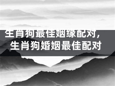 生肖狗最佳姻缘配对,生肖狗婚姻最佳配对
