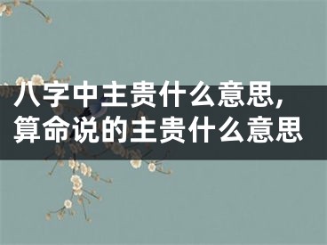 八字中主贵什么意思,算命说的主贵什么意思