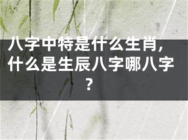 八字中特是什么生肖,什么是生辰八字哪八字?