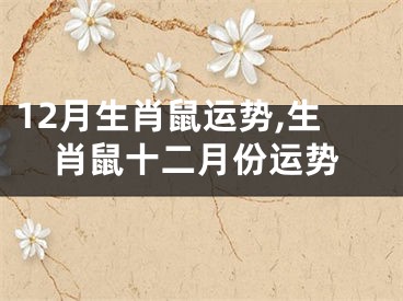12月生肖鼠运势,生肖鼠十二月份运势