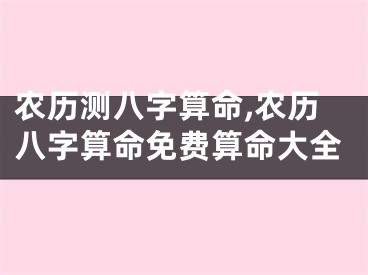 农历测八字算命,农历八字算命免费算命大全