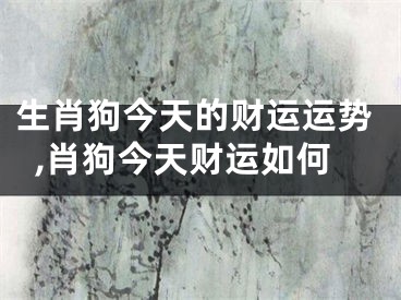 生肖狗今天的财运运势,肖狗今天财运如何