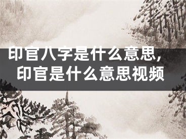 印官八字是什么意思,印官是什么意思视频