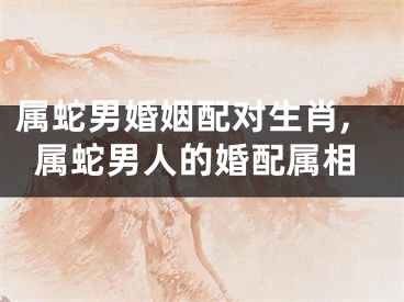 属蛇男婚姻配对生肖,属蛇男人的婚配属相