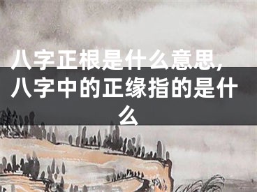 八字正根是什么意思,八字中的正缘指的是什么