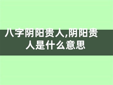 八字阴阳贵人,阴阳贵人是什么意思