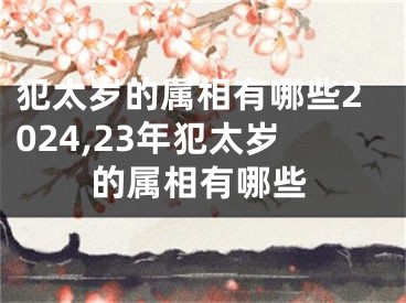 犯太岁的属相有哪些2024,23年犯太岁的属相有哪些