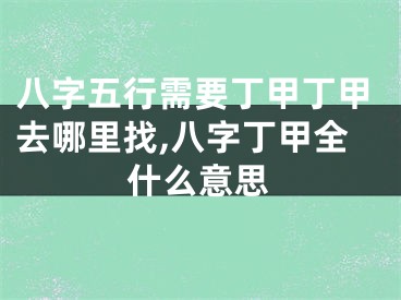 八字五行需要丁甲丁甲去哪里找,八字丁甲全什么意思