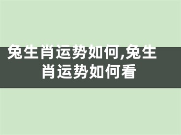 兔生肖运势如何,兔生肖运势如何看