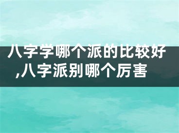 八字学哪个派的比较好,八字派别哪个厉害