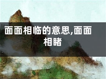 面面相临的意思,面面相睹