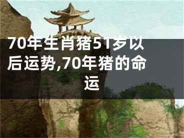 70年生肖猪51岁以后运势,70年猪的命运