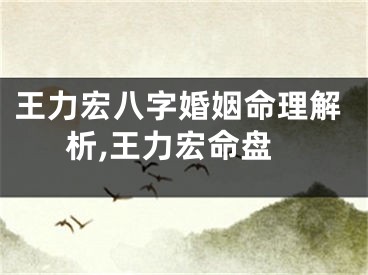 王力宏八字婚姻命理解析,王力宏命盘