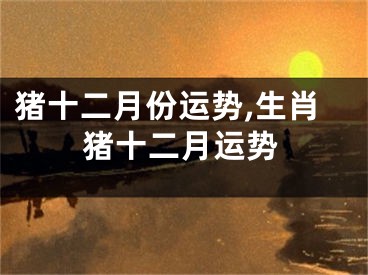 猪十二月份运势,生肖猪十二月运势